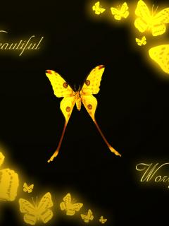 Other Wallpapers 0628